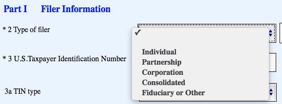 Type of filer drop-down menu